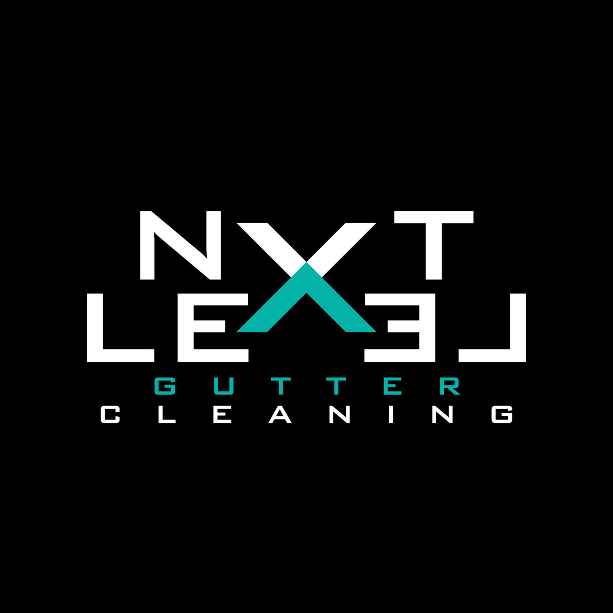 Professional Logo