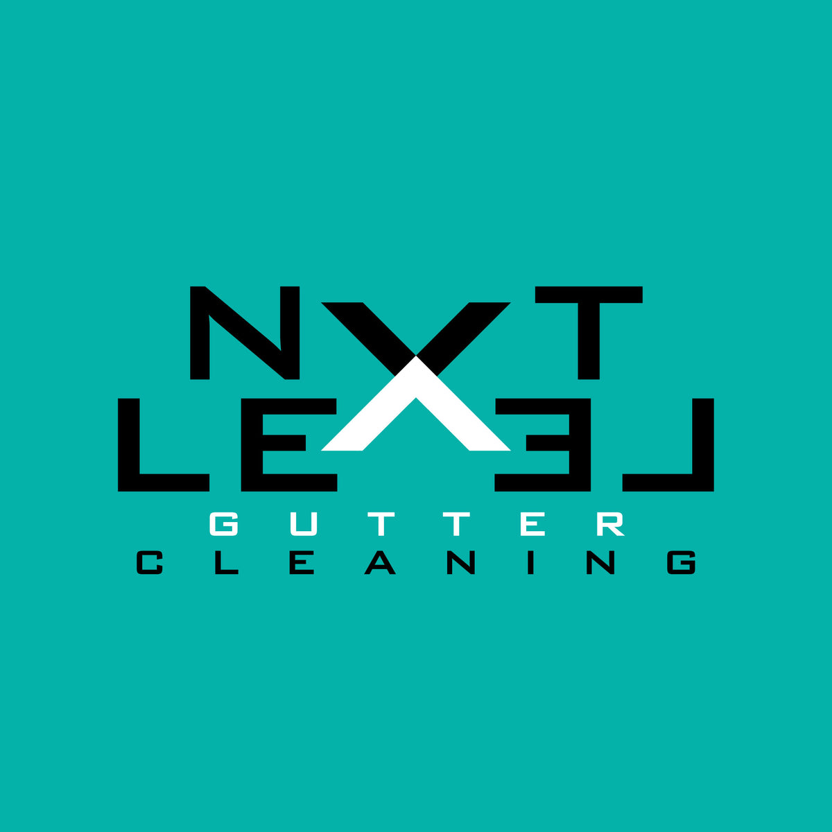 Professional Logo