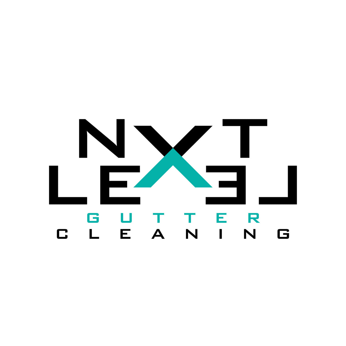 Professional Logo