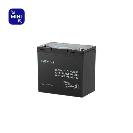 Renogy 100Ah Lithium Leisure Battery