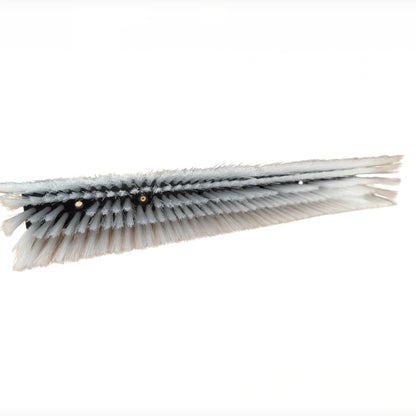 Cleanlynk GLADIUS 35cm (14") DuPont Nylon Water Fed Pole Brush